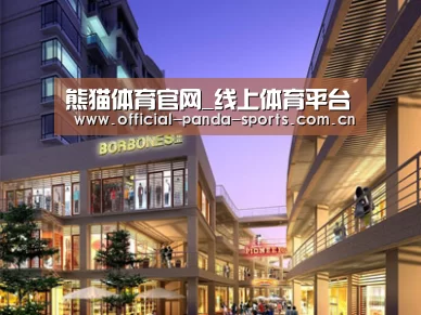 案例展示一(图1)